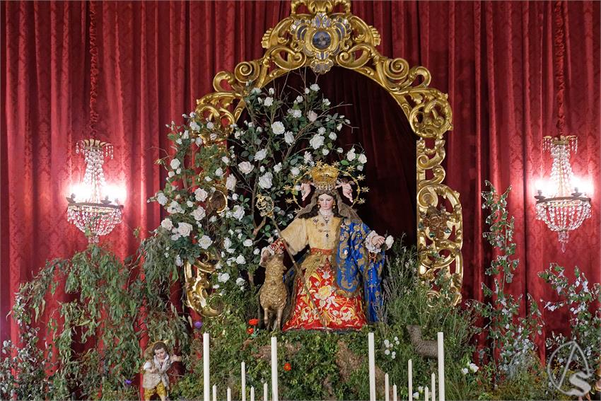 fjmontiel_NV_Divina_Pastora_Capuchinos_2026_DSC_0087_DxO
