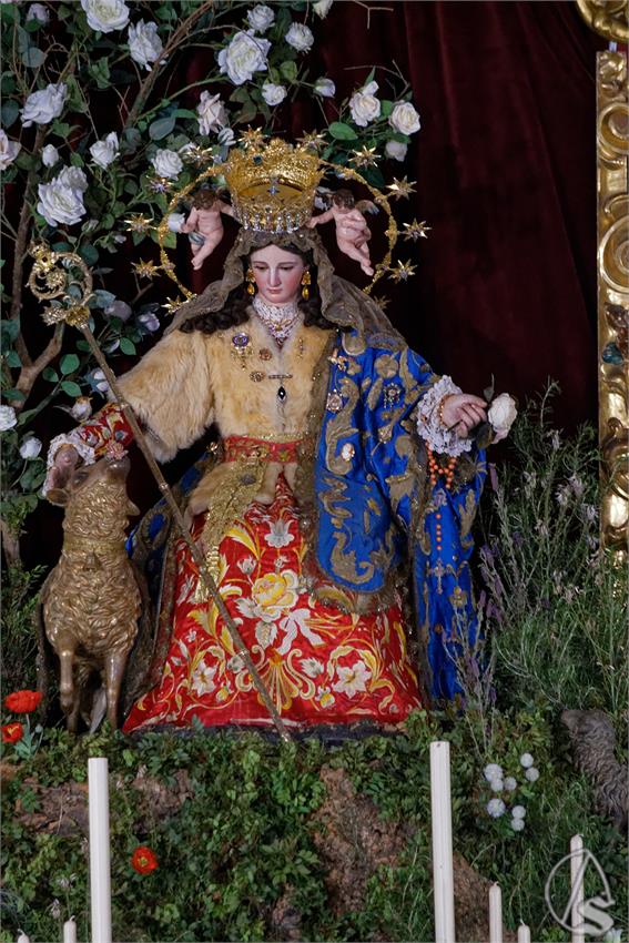 fjmontiel_NV_Divina_Pastora_Capuchinos_2026_DSC_0089_DxO
