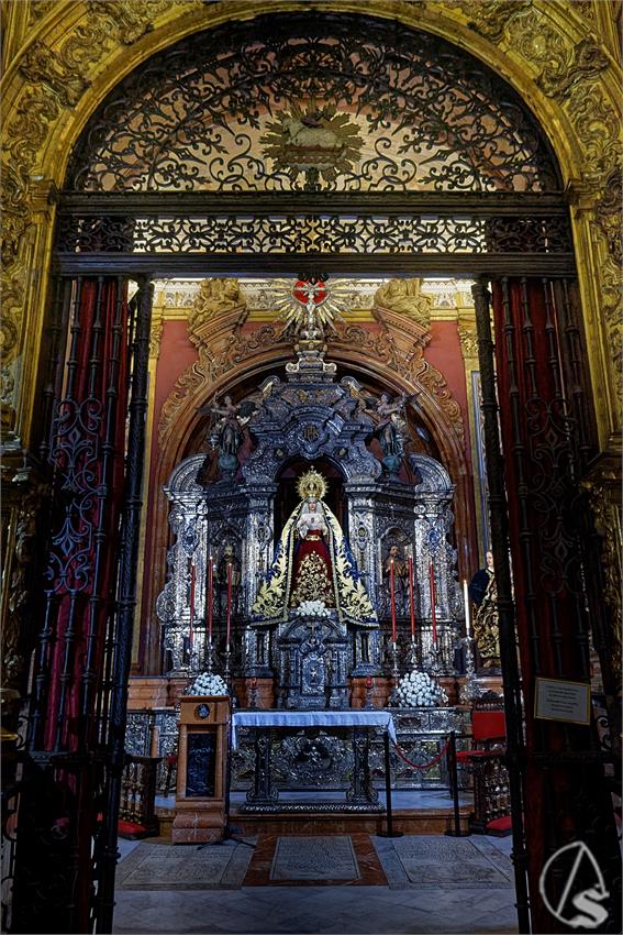 fjmontiel_NV_Pasion_2024_DSC_6732_DxO