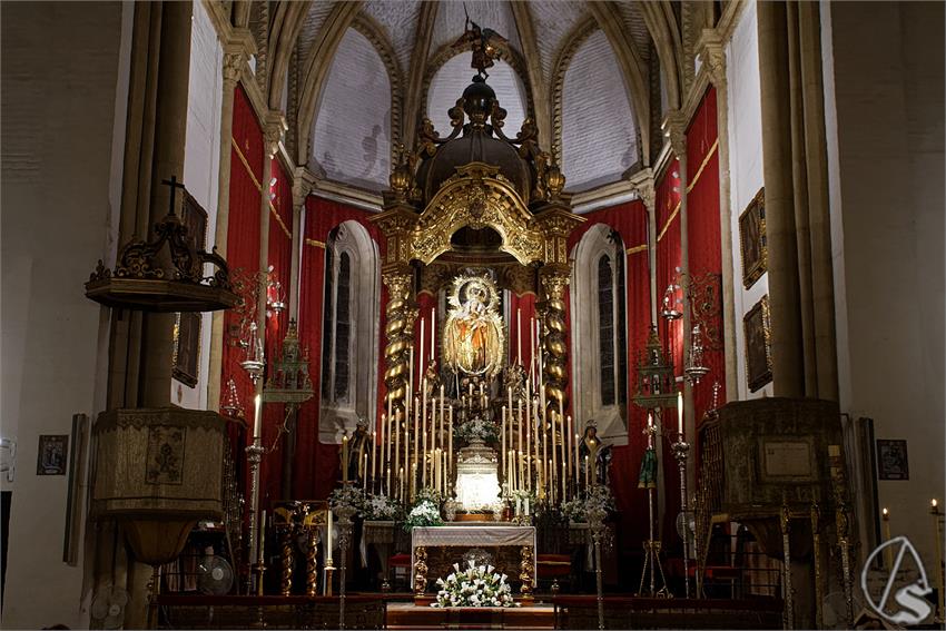 fjmontiel_NV_Reina_Todos_los_Santos_2026_DSC_4783_DxO