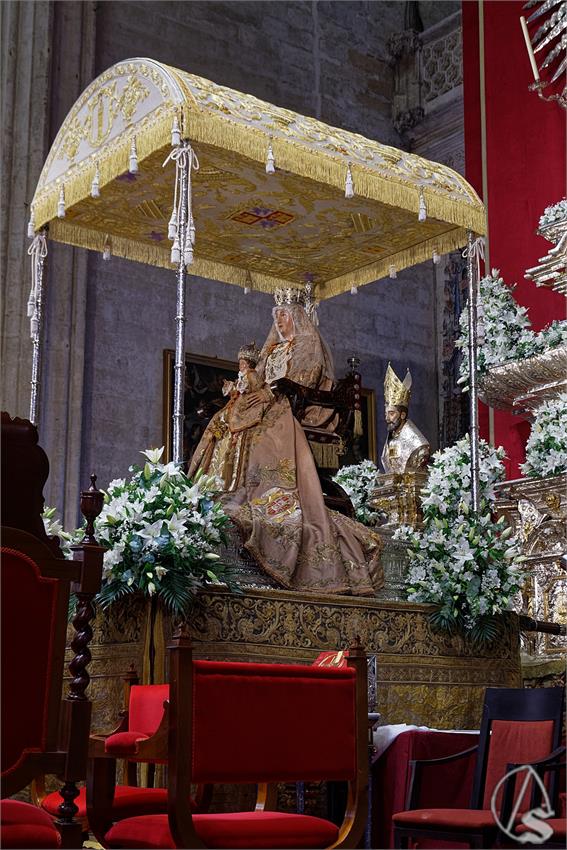 fjmontiel_NV_Virgen_de_los_Reyes_2026_DSC_1908_DxO