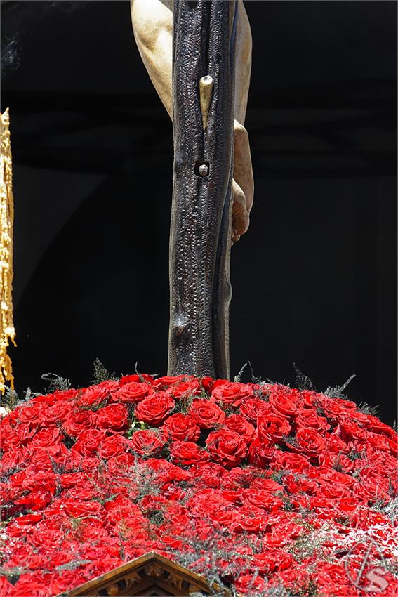 fjmontiel_PR_EX_Cristo_de_Burgos_2024__DSC5246_DxO