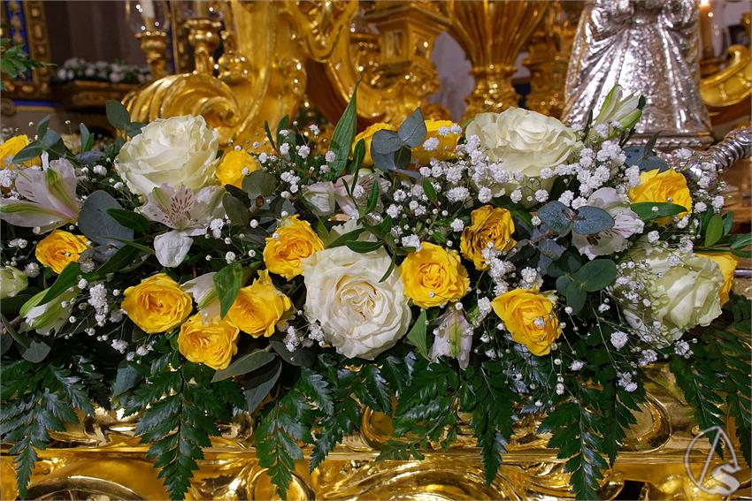 fjmontiel_PR_Inmaculada_Milagrosa_2024_DSC_6549_DxO
