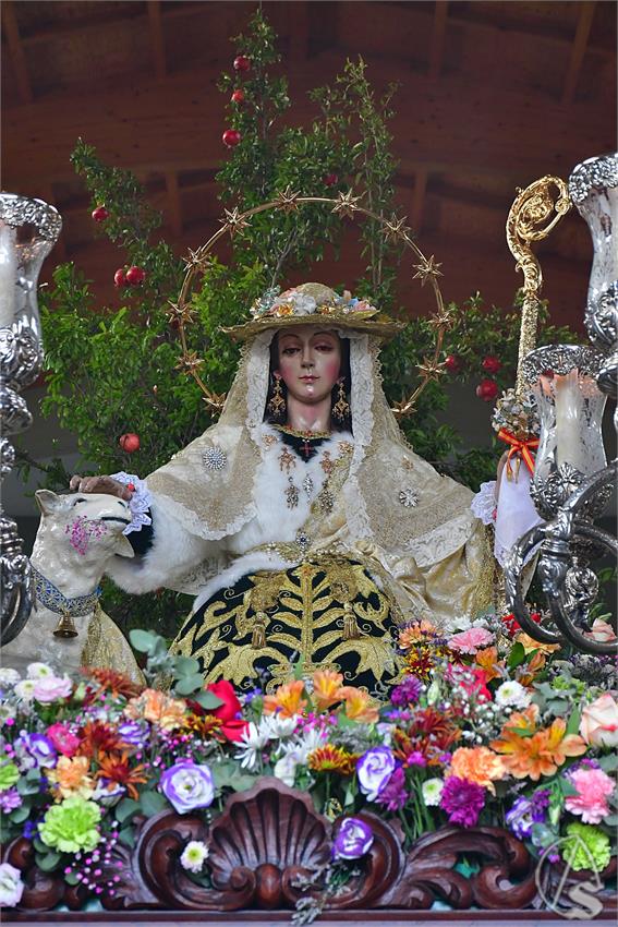 fjmontiel_PR_Pastora_Padre_Pio_2025_DSC_3800.JPG