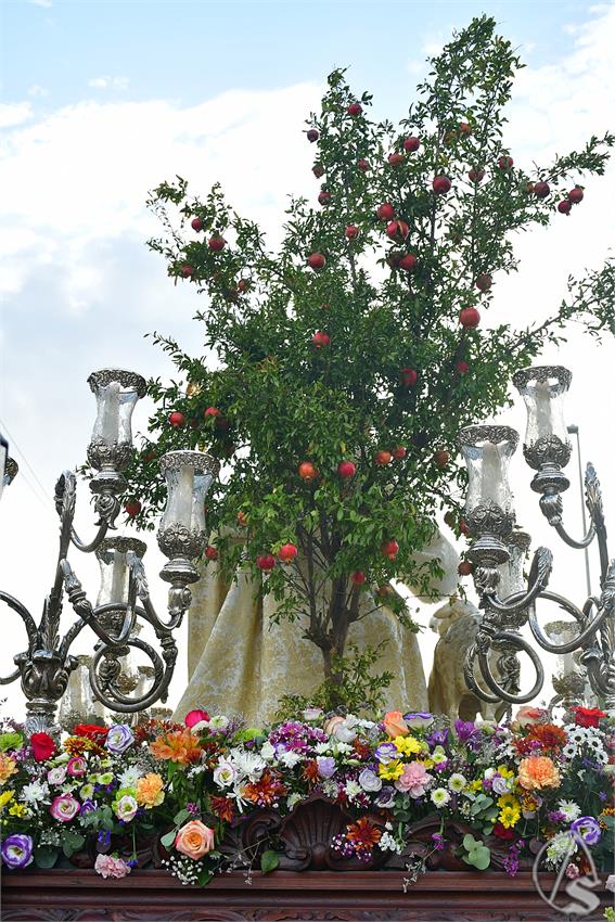 fjmontiel_PR_Pastora_Padre_Pio_2025_DSC_3828.JPG