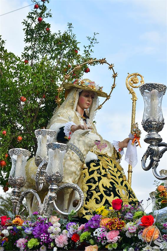 fjmontiel_PR_Pastora_Padre_Pio_2025_DSC_3829.JPG