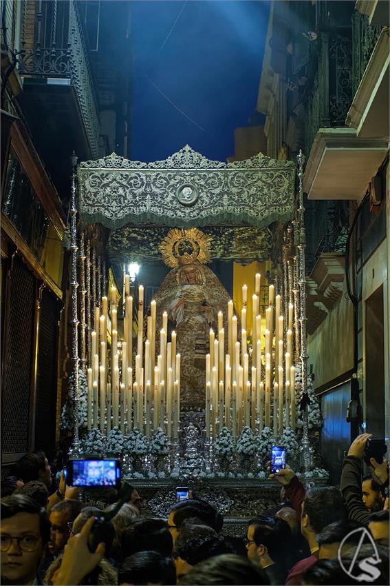 fjmontiel_PR_Socorro_Amor_a_Catedral_Font_Pietatis_2024_DSC_4261_DxO