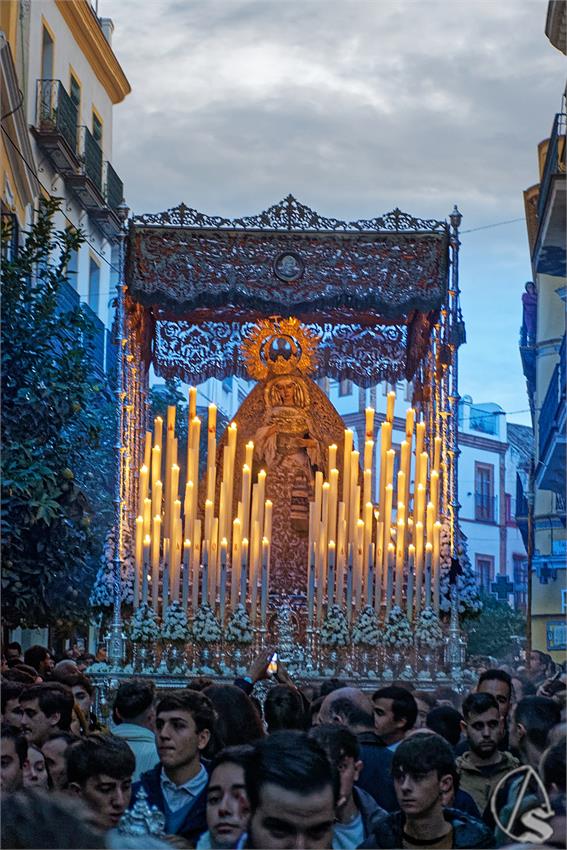 fjmontiel_PR_Socorro_Amor_a_Catedral_Font_Pietatis_2024_DSC_4289_DxO