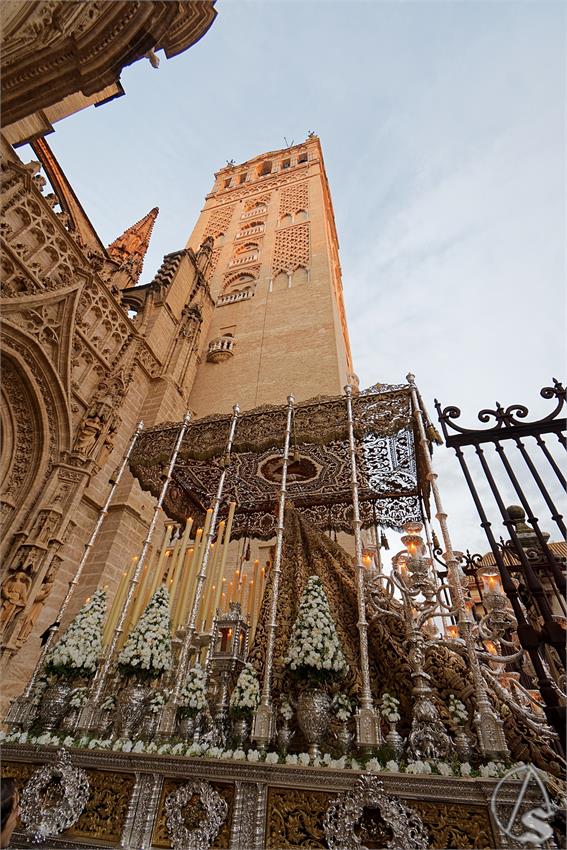 fjmontiel_PR_Socorro_Amor_a_Catedral_Font_Pietatis_2024_DSC_4304_DxO