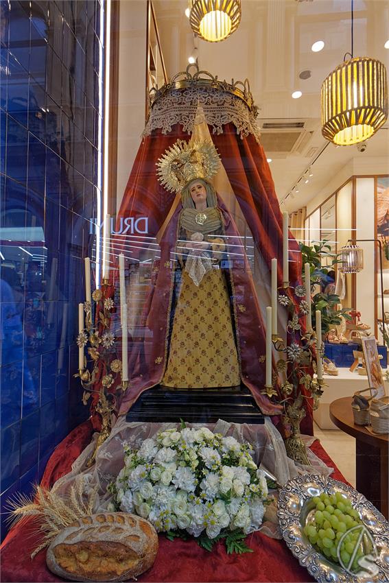 fjmontiel_Previas_Corpus_Sevilla_2026_DSC_0554_DxO