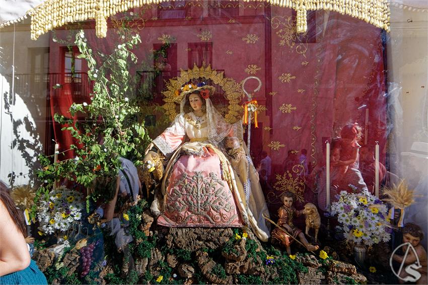 fjmontiel_Previas_Corpus_Sevilla_2026_DSC_0582_DxO
