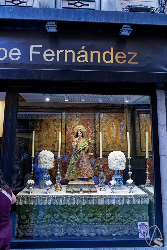 fjmontiel_Previas_Corpus_Sevilla_2026_DSC_0585_DxO