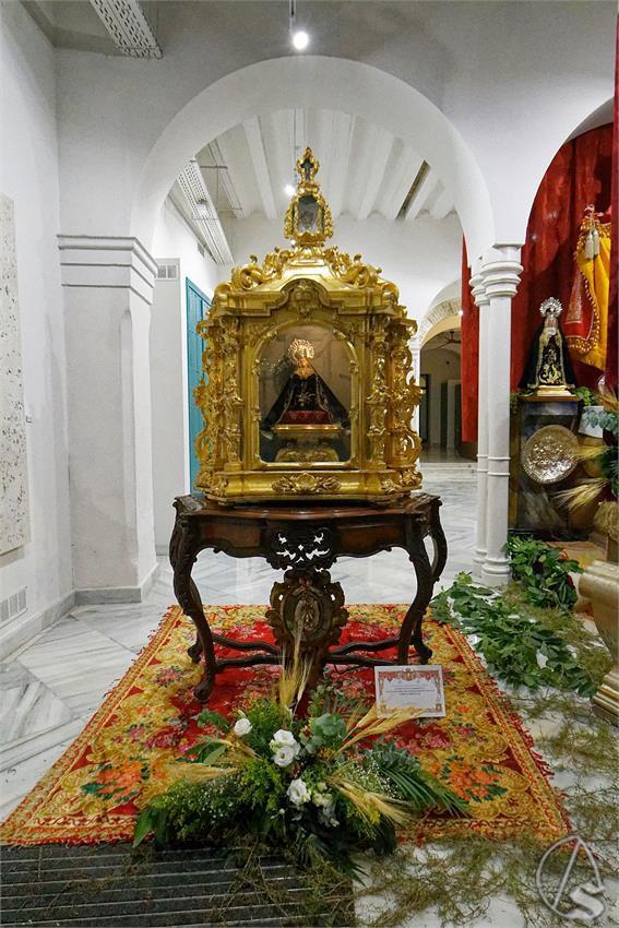 fjmontiel_Previas_Corpus_Sevilla_2026_DSC_0693_DxO