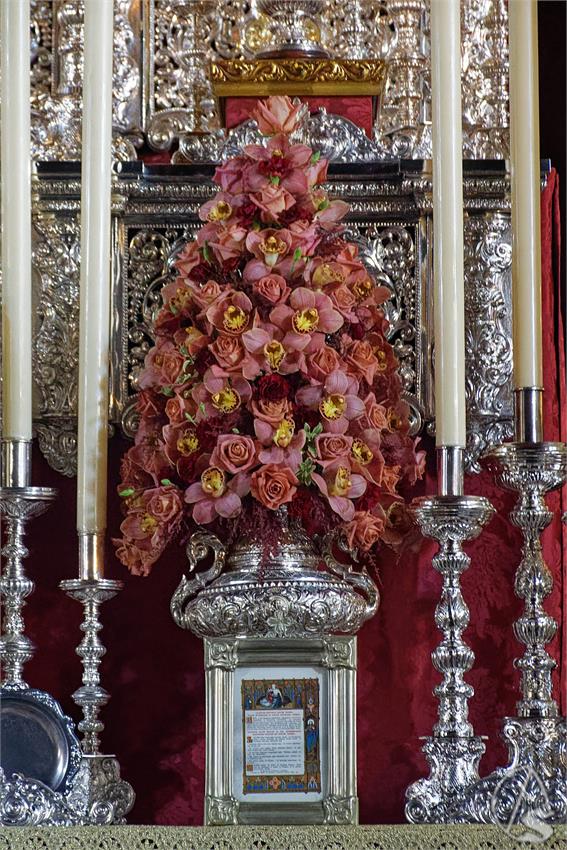 fjmontiel_QH_Cautivo_San_Pablo_2026_DSC_2375_DxO