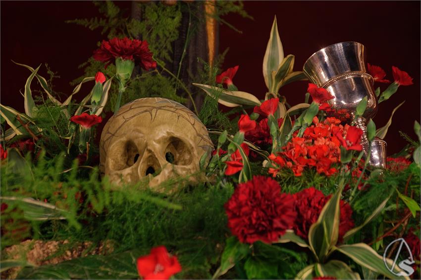 fjmontiel_QU_Javieres_2026_DSC_1373_DxO