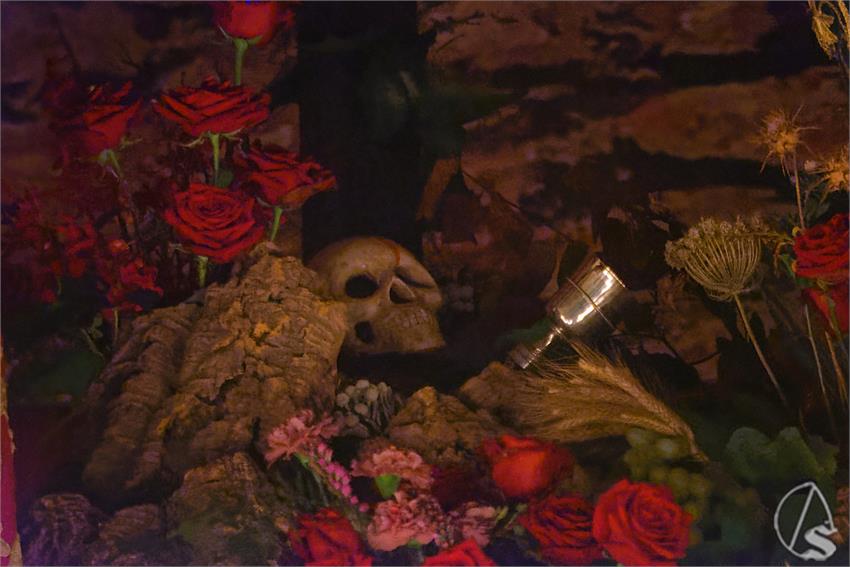 fjmontiel_QU_Lanzada_2026_DSC_2331_DxO