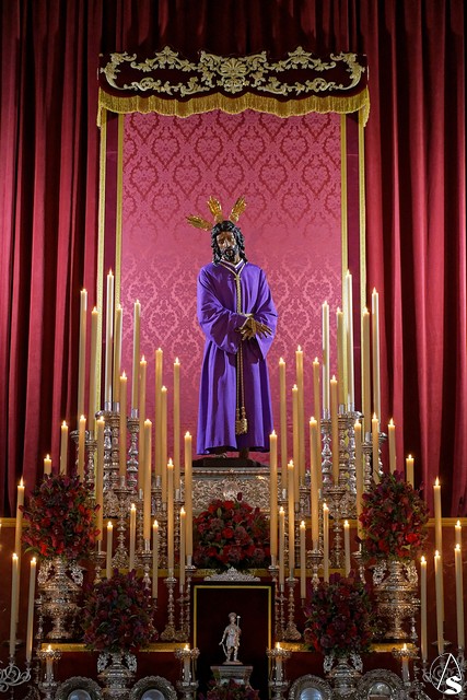 quinario pino