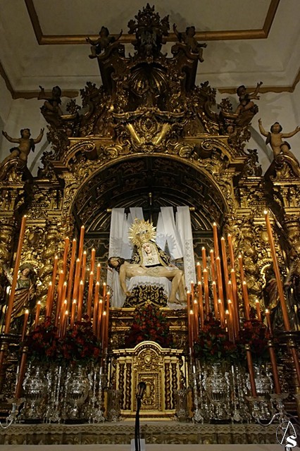 quinario servitas