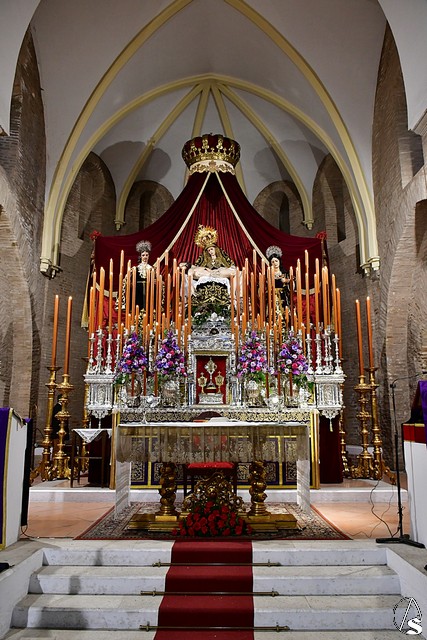 servitas san marcos