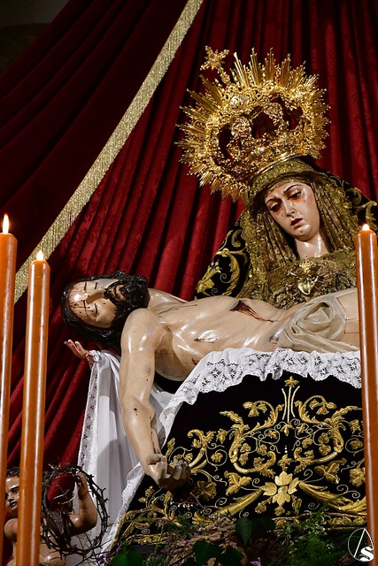 quinario servitas