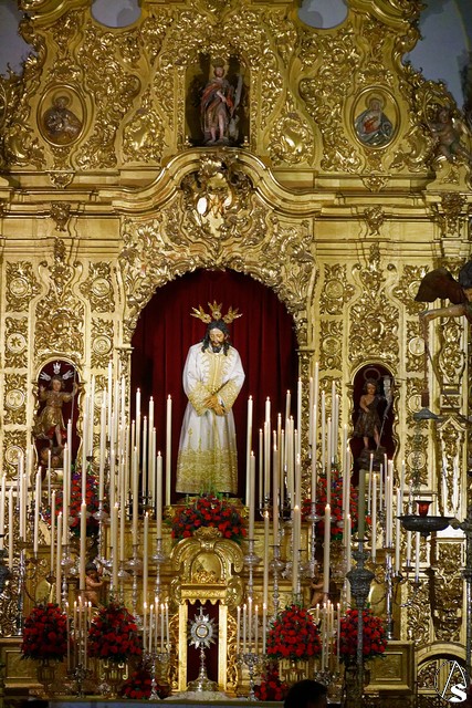 quinario amargura