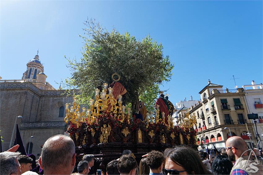 fjmontiel_Redencion_por_las_Setas_2026_DSC_6847_DxO