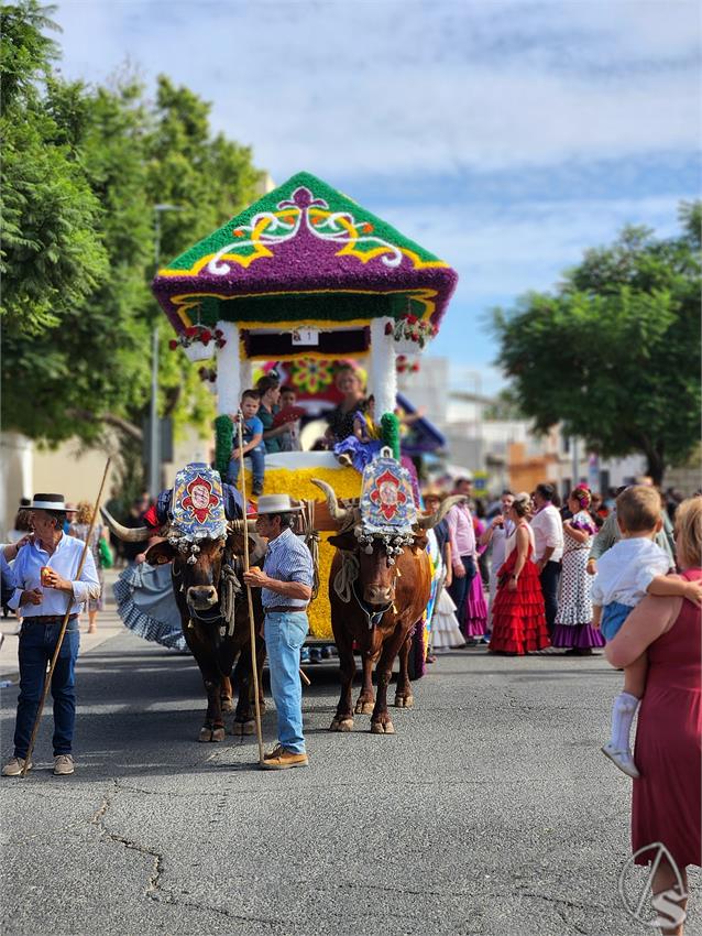 fjmontiel_Romeria_Valme_20251019_140006