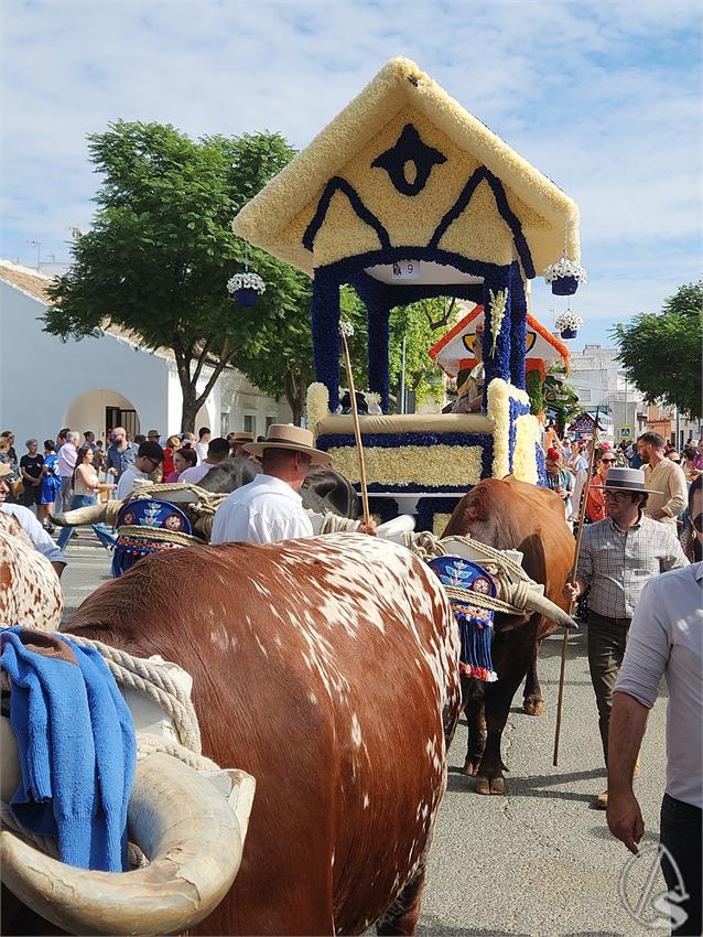 fjmontiel_Romeria_Valme_20251019_140554