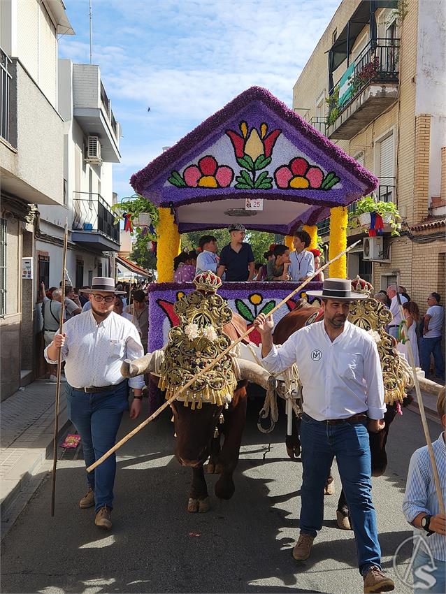 fjmontiel_Romeria_Valme_20251019_141542