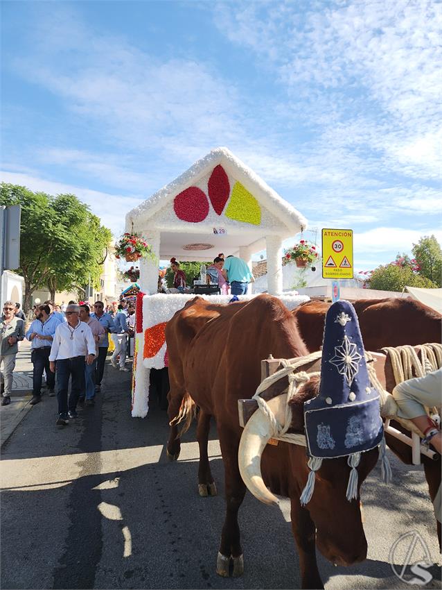fjmontiel_Romeria_Valme_20251019_142206