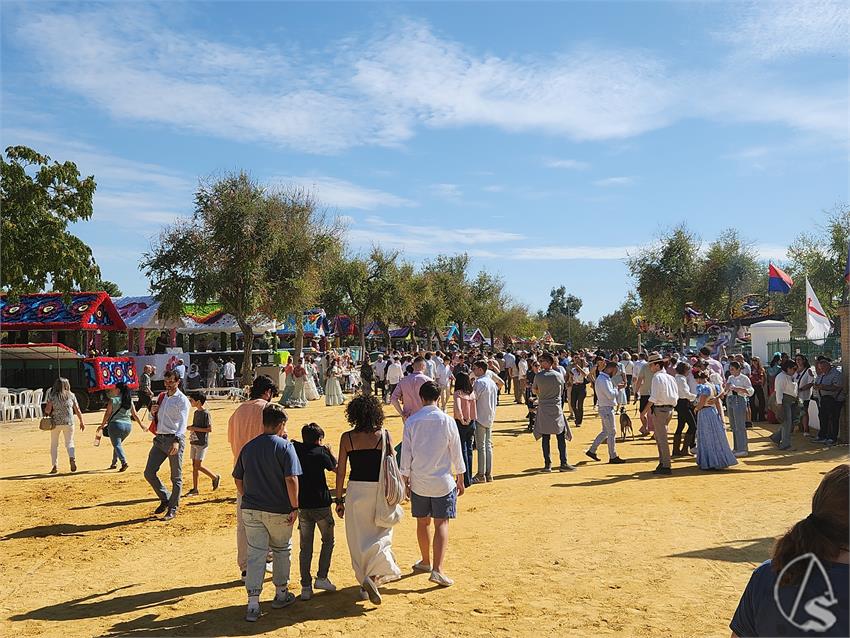 fjmontiel_Romeria_Valme_20251019_143324