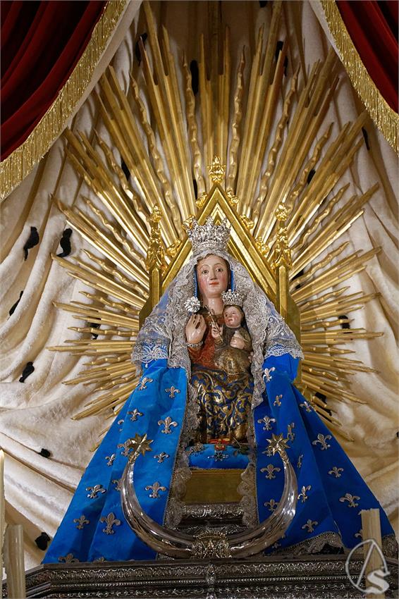 fjmontiel_Rosa_Pasion_Valme_2024_DSC_2931_DxO