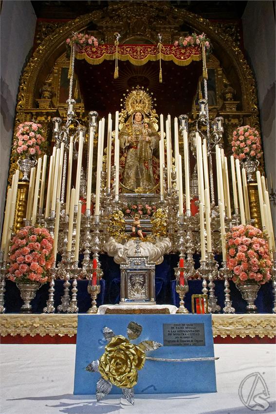 fjmontiel_Rosa_Pasion_Virgen_Belen_Pilas_2025_DSC_0508_DxO
