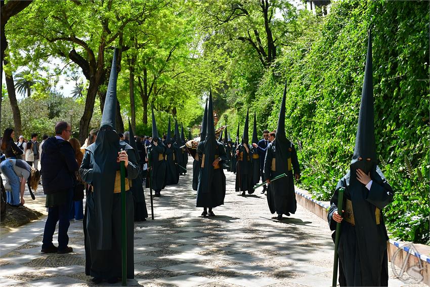 fjmontiel_Sabado_Sol_por_Jardines_Murillo_2025_DSC_8525.JPG