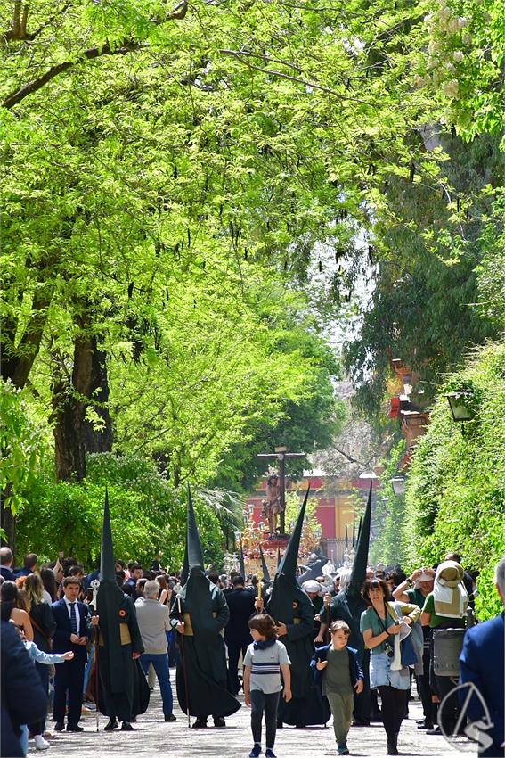 fjmontiel_Sabado_Sol_por_Jardines_Murillo_2025_DSC_8530.JPG