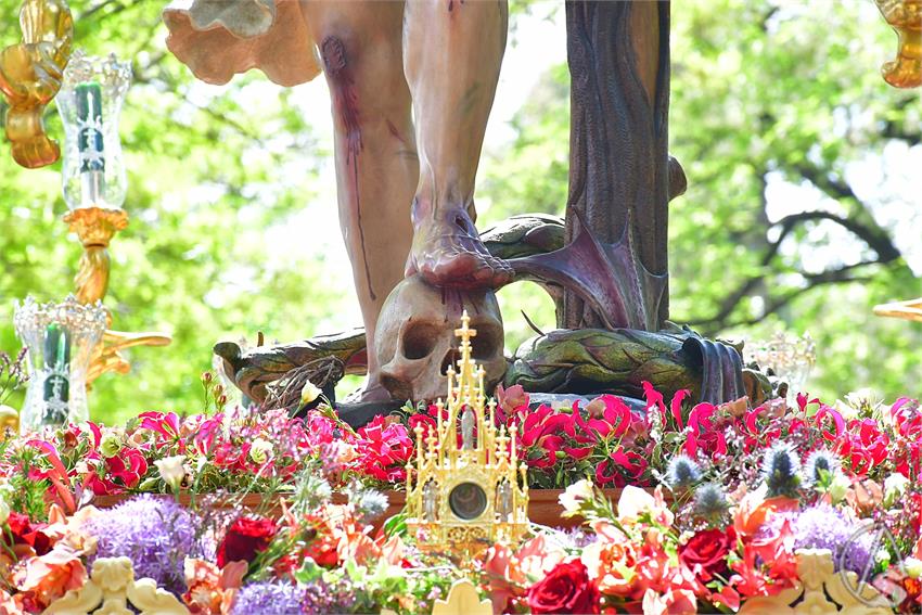 fjmontiel_Sabado_Sol_por_Jardines_Murillo_2025_DSC_8544.JPG