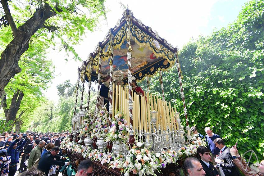 fjmontiel_Sabado_Sol_por_Jardines_Murillo_2025_DSC_8574.JPG