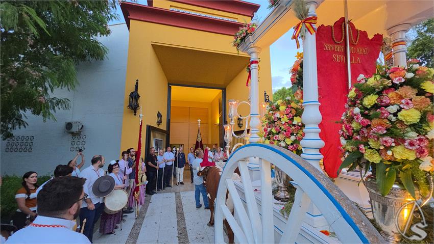 fjmontiel_Salida_Romeria_San_Benito_20260826_205711