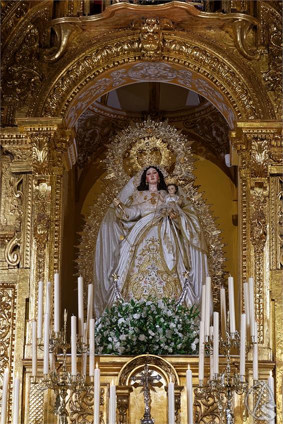 fjmontiel_Salutacion_V_Nieves_Luis_Miguel_Murube_2026_DSC_1889_DxO
