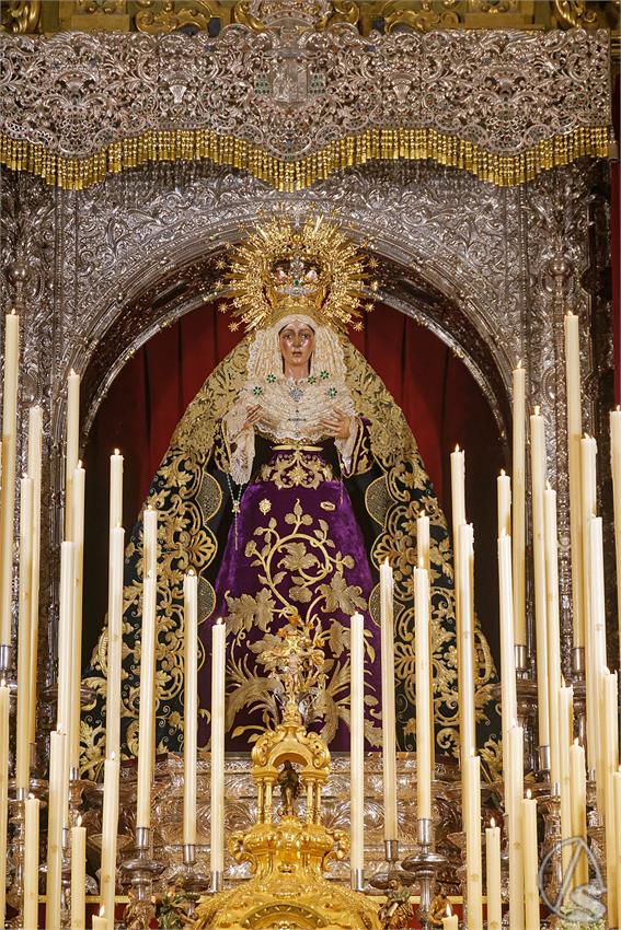 fjmontiel_Sept_Esperanza_Macarena_2025_DSC_3489_DxO