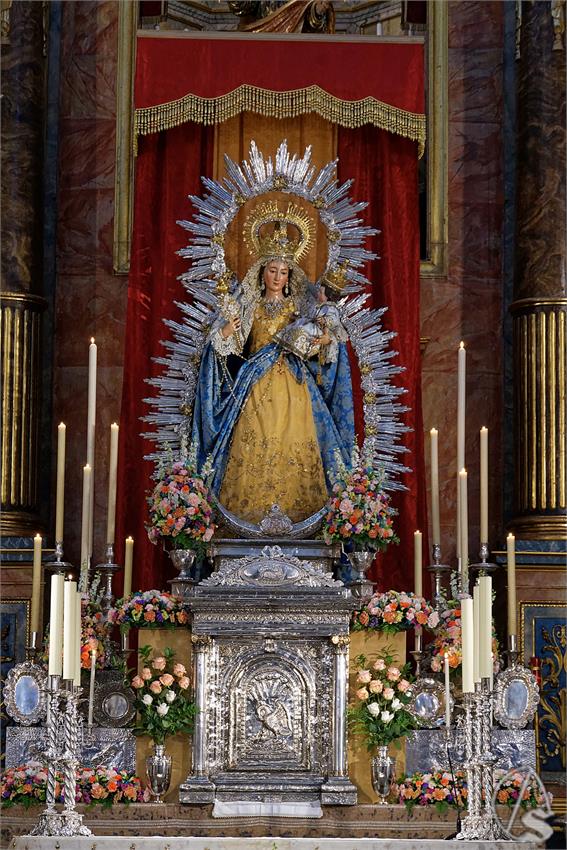 fjmontiel_TR_Alegria_2025_DSC_9553_DxO