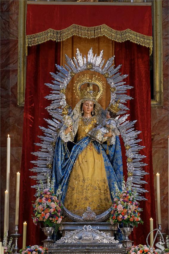 fjmontiel_TR_Alegria_2025_DSC_9554_DxO