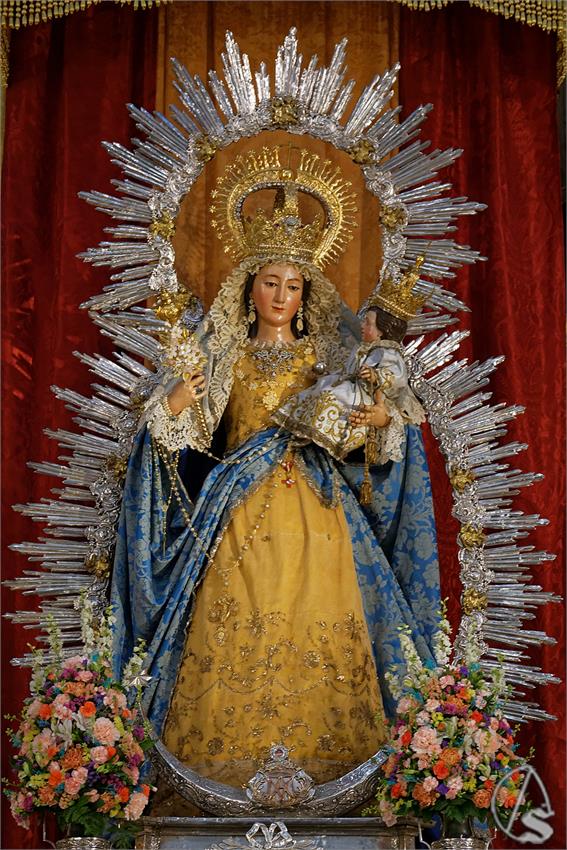 fjmontiel_TR_Alegria_2025_DSC_9557_DxO
