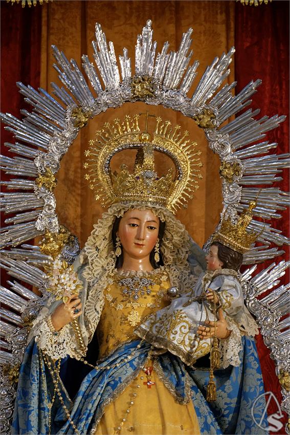 fjmontiel_TR_Alegria_2025_DSC_9558_DxO