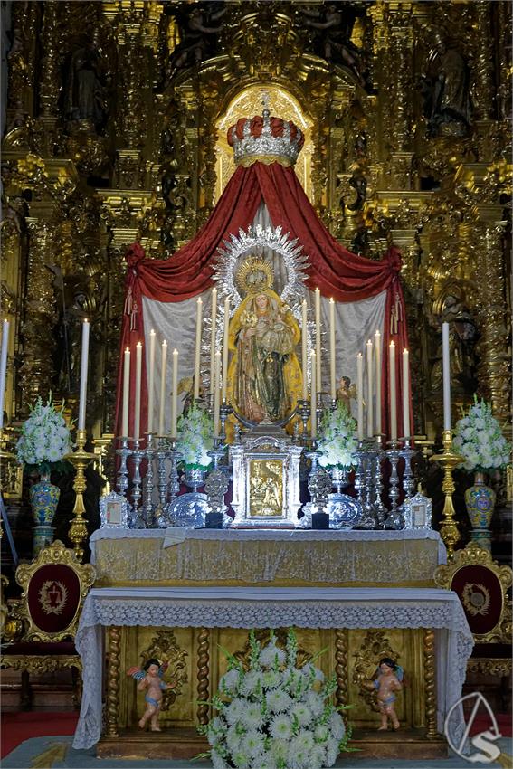 fjmontiel_TR_Amparo_2025_DSC_6052_DxO