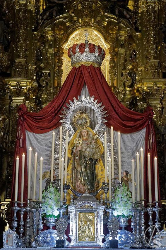 fjmontiel_TR_Amparo_2025_DSC_6053_DxO