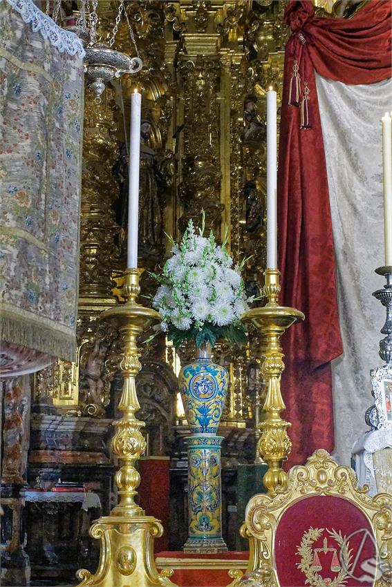 fjmontiel_TR_Amparo_2025_DSC_6059_DxO