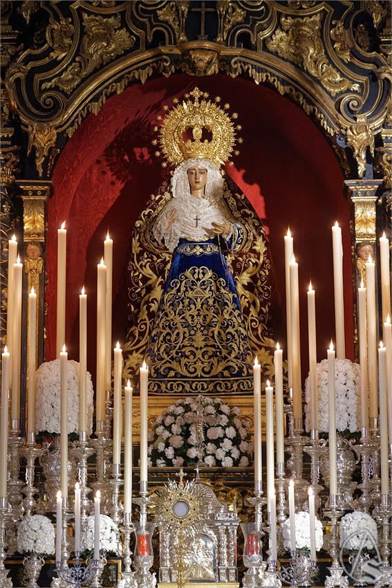 fjmontiel_TR_Caridad_Baratillo_2023_DSC_3576_DxO