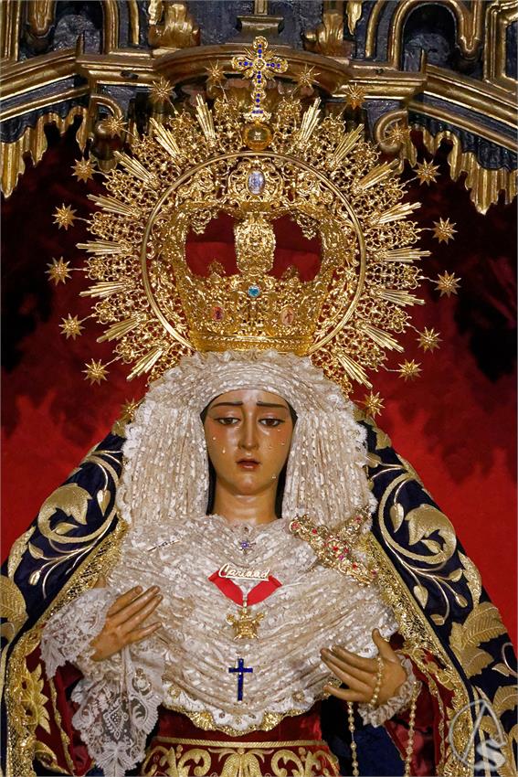 fjmontiel_TR_Caridad_Baratillo_2024_DSC_5150_DxO
