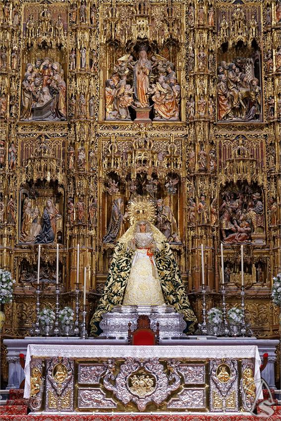fjmontiel_TR_EX_Dogma_Asuncion_Triana_Catedral_2025_DSC_5612_DxO